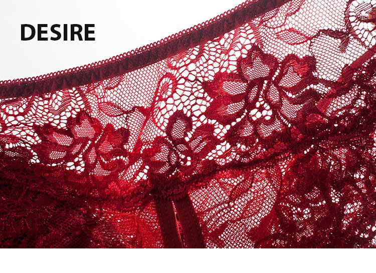 Desire Store, Quần lót ren sexy xẻ đáy gợi cảm DESIRE QL-5009 image 8 of 15