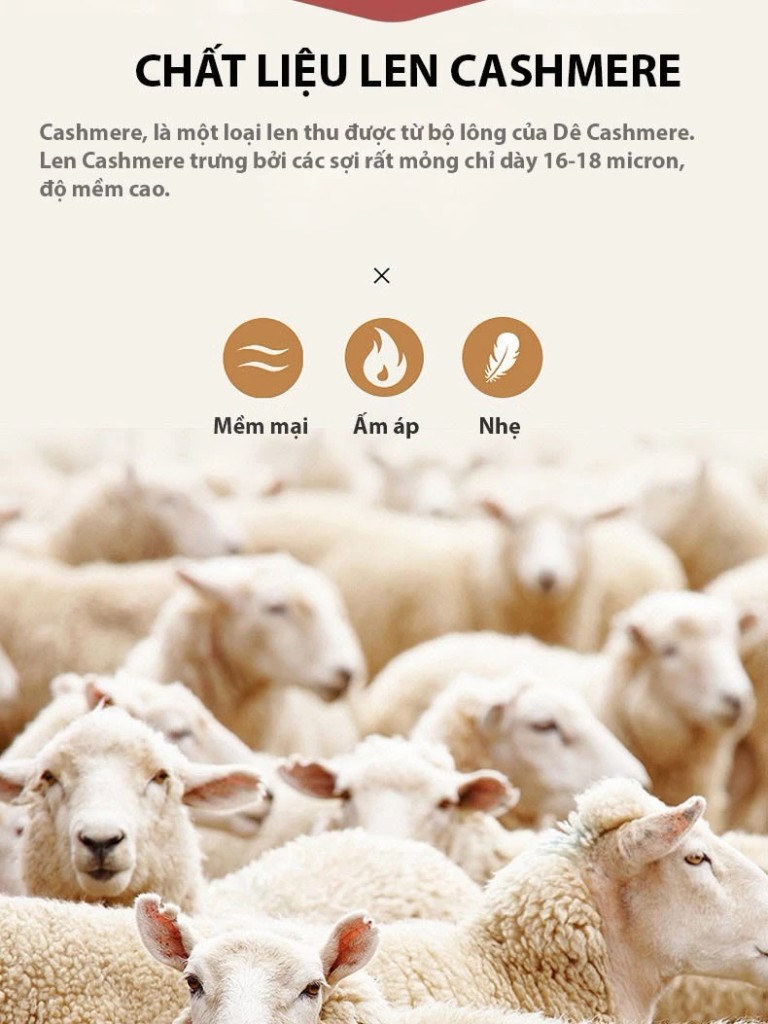 Desire Store, Đồ bộ giữ nhiệt nữ giới mùa đông siêu nhẹ ấm áp vải Nhung lót Len Cashmere không đường viền AGN-002 image 13 of 23
