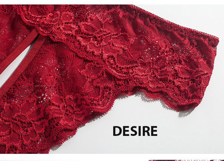 Desire Store, Quần lót ren sexy xẻ đáy gợi cảm DESIRE QL-5009 image 7 of 15