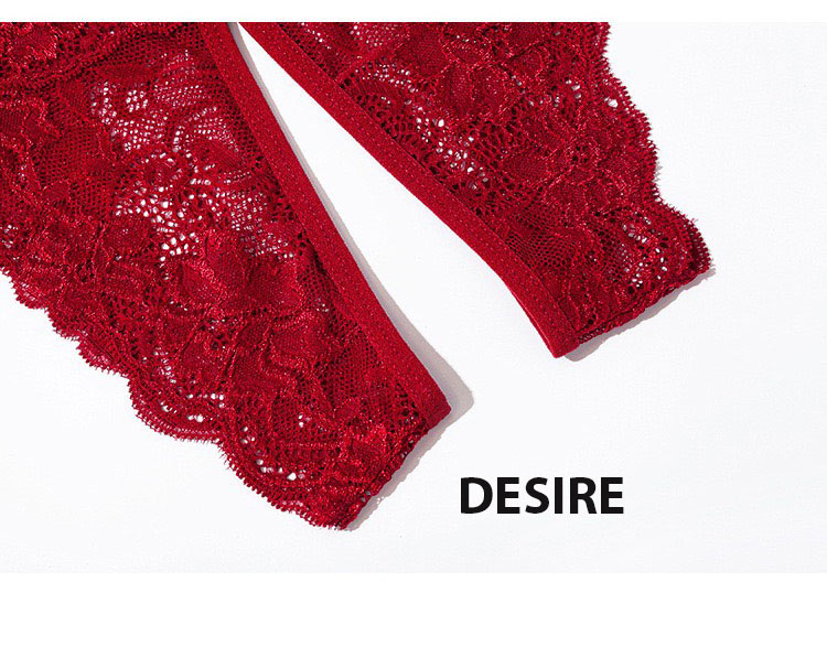 Desire Store, Quần lót ren sexy xẻ đáy gợi cảm DESIRE QL-5009 image 9 of 15