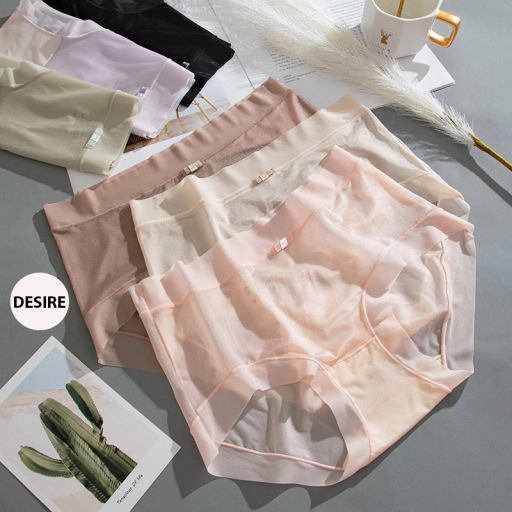 Desire Store, Quần lót Cotton Lụa không đường viền trơn màu mềm mịn mát phong cách sang trọng nhã nhặn QL-031 - 50.000 ₫